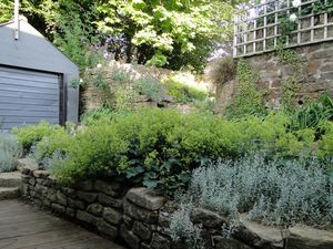 Photo 42- click for photo gallery